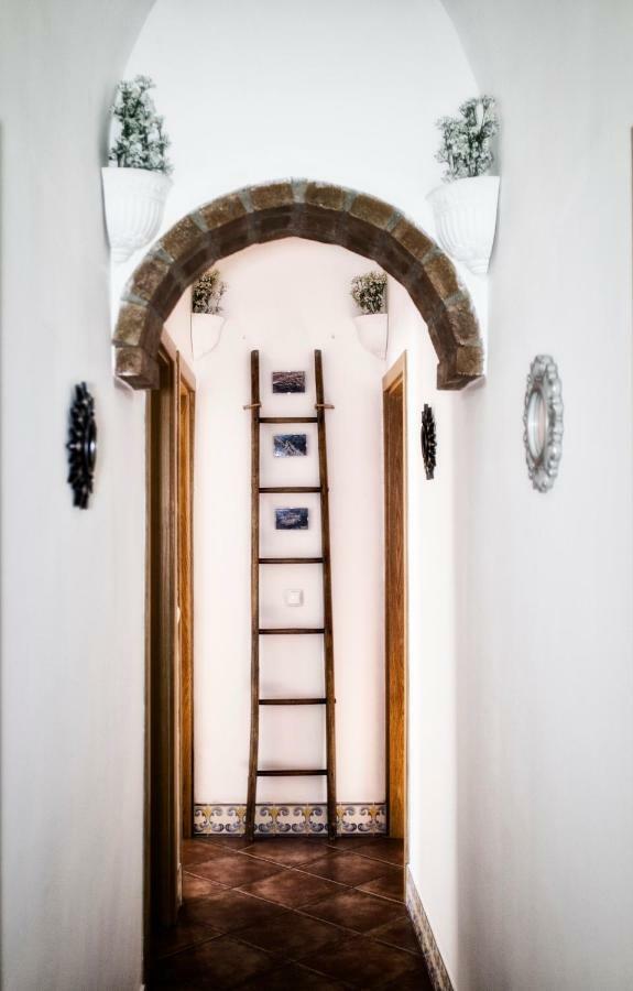 Casa Vitoria Guest House เอโวรา ภายนอก รูปภาพ